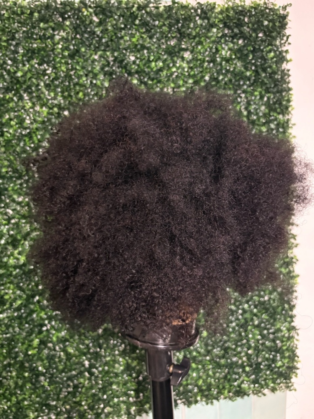 Afro human hair Lace Front Wig - Natural Kinky Curly Style 13x1 inch - Picture 5 of 5